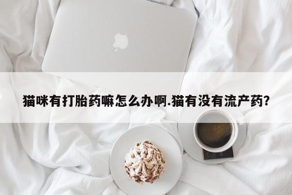 网上怎么购买打胎药联系方式猫咪有打胎药嘛怎么办啊.猫有没有流产药？